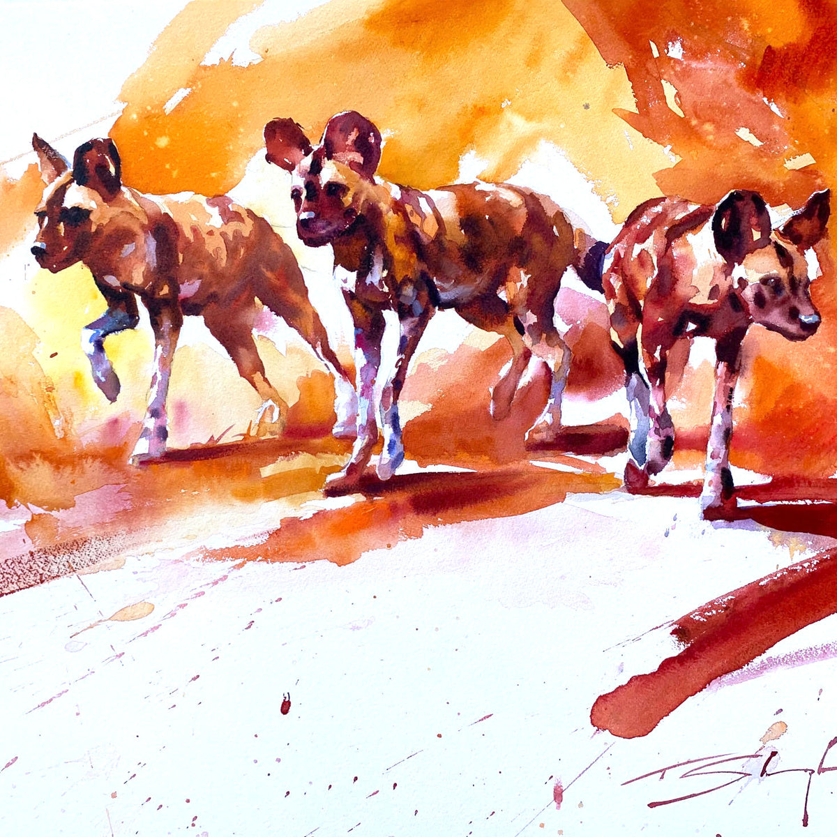Tom Shepherd – Artists for Painted Dogs and other Wildlife