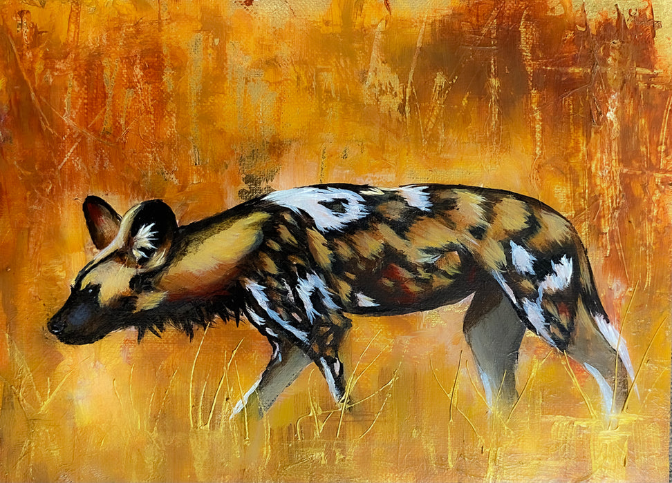 Painted Dog - Claire Heffron
