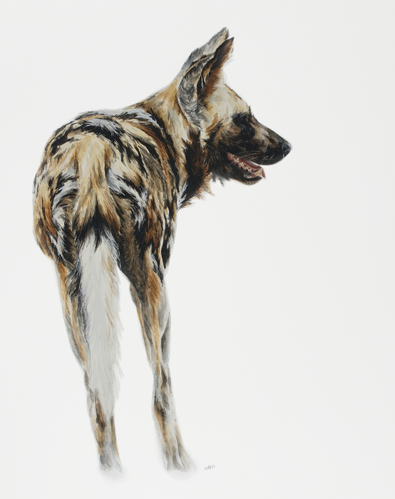 Painted Wolf - Liz Gardner