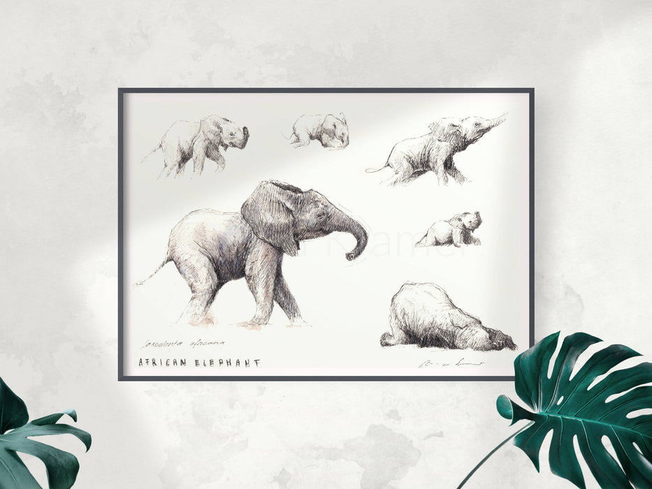 Carina Kramer - Baby Eles in Motion Special limited edition print