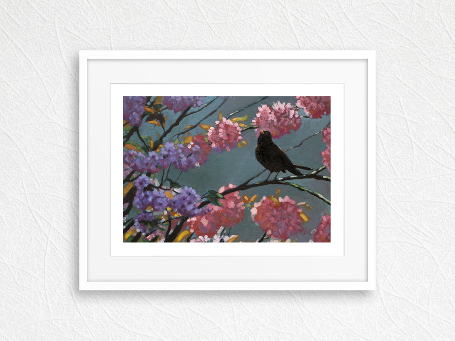 Heather Irvine - Special LE Print Blackbird Blossom