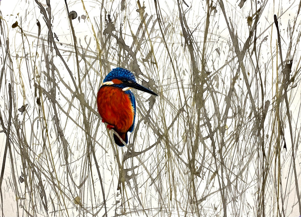 Corinne Zollinger - Catcher in the Reed Special Limited Edition Print