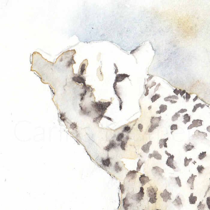 Carina Kramer - Cheetah Special limited edition print