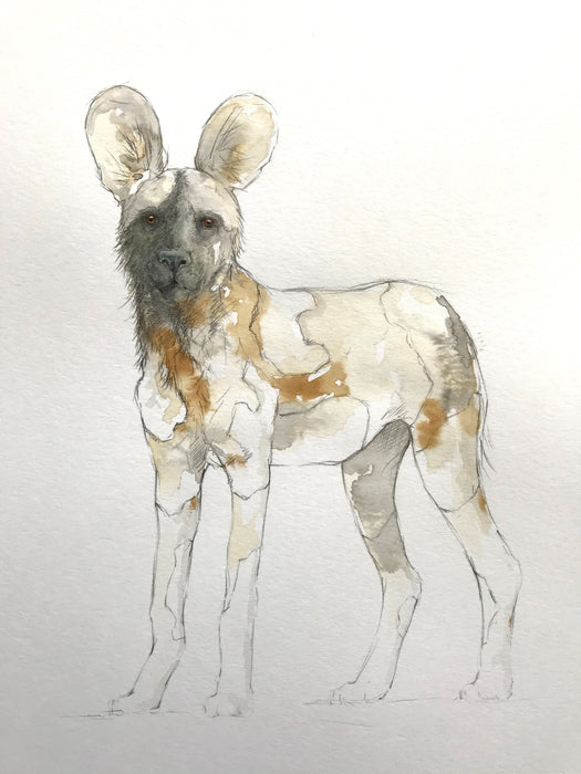 Stephen Rew - Standing Painted Dog Special Limited Edition Print