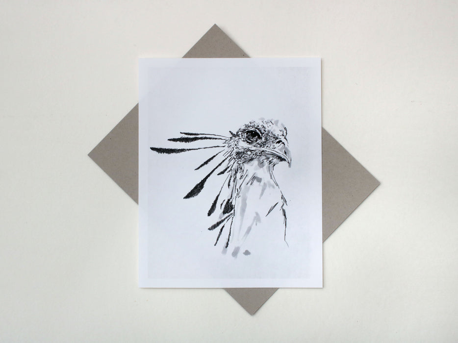 Tim Hastilow - Secretary Bird Special Limited Edition Print