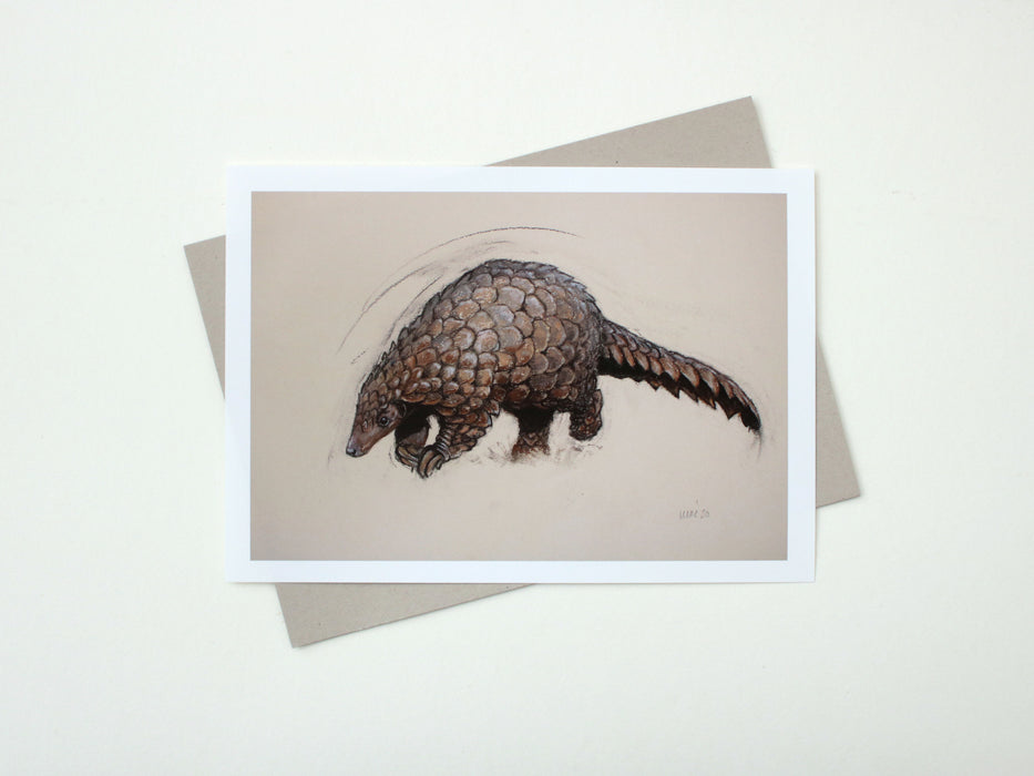 Heather Irvine - Pangolin Special Limited Edition Print