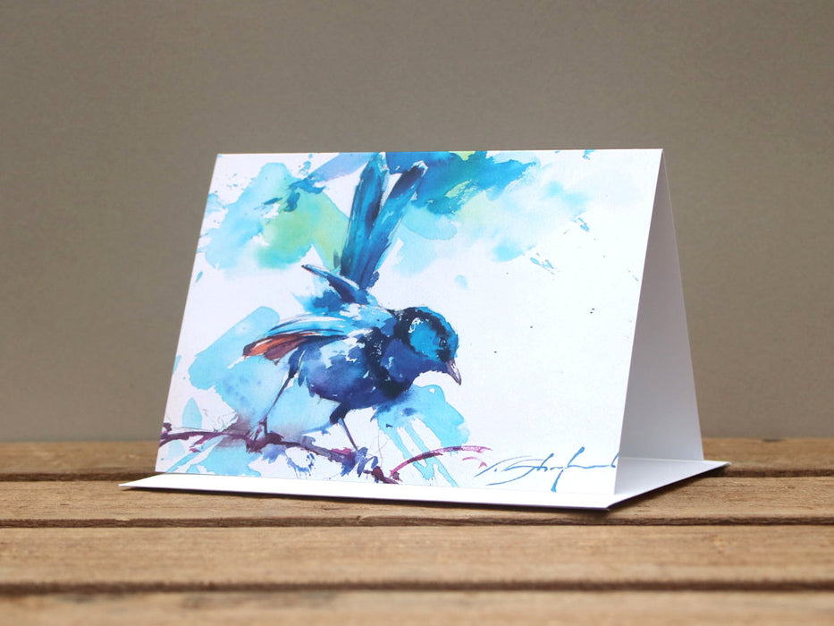 Tom Shepherd - Fairy Wren