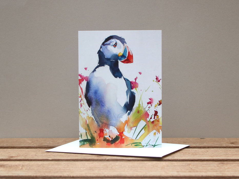 Tom Shepherd - Pack of three bird card designs