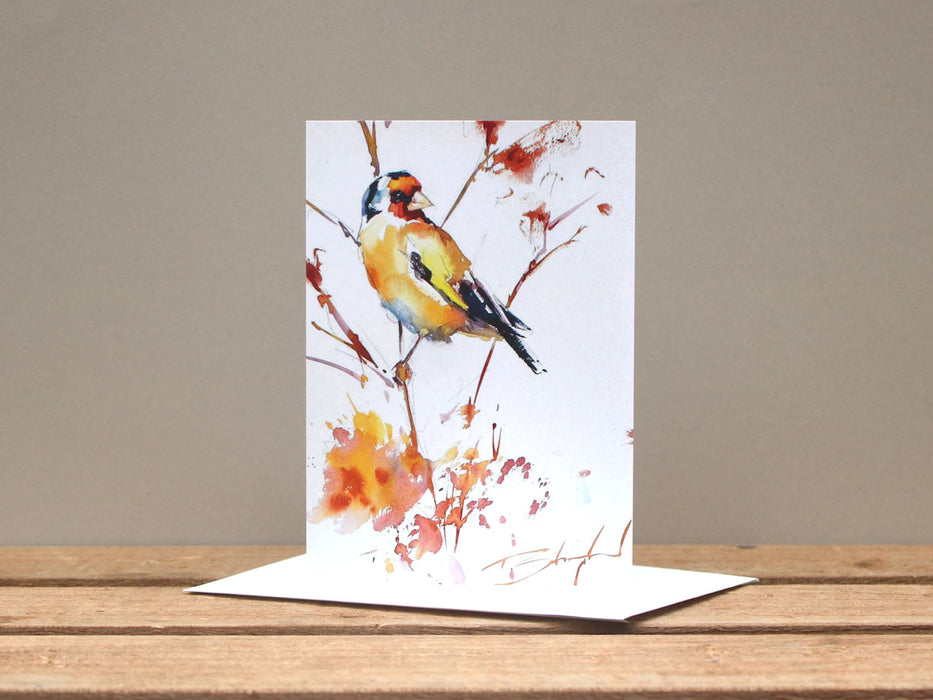 Tom Shepherd - Pack of three bird card designs