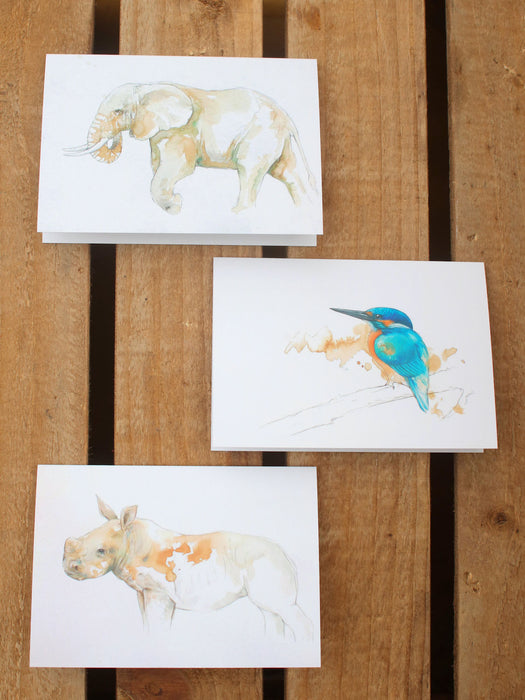 Stephen Rew - Pack of three card designs