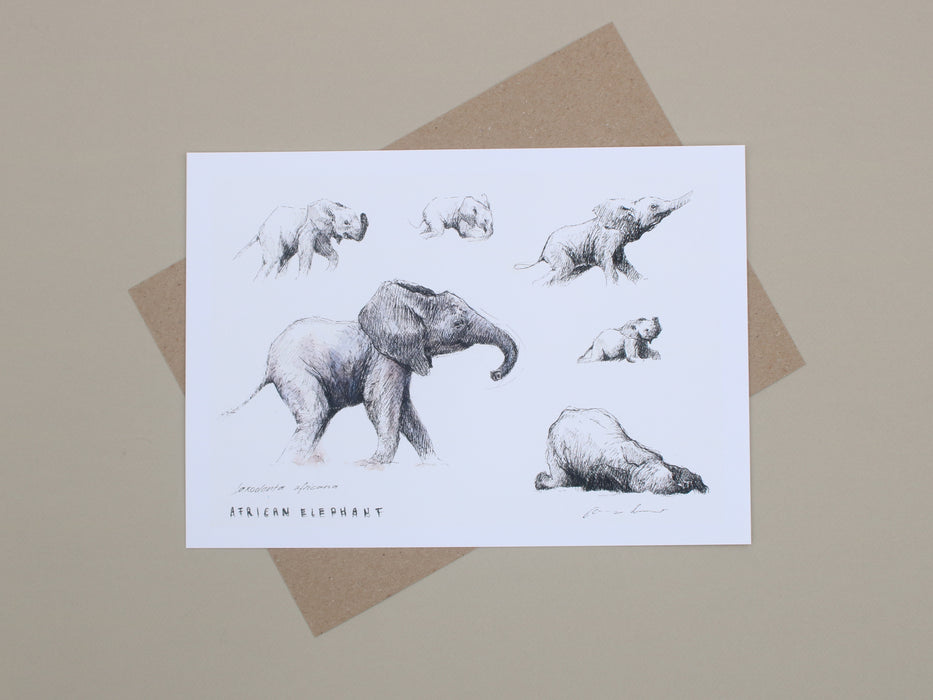 Carina Kramer - Baby Eles in Motion Special limited edition print