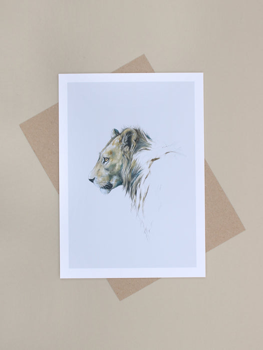 Stephen Rew - Lioness Special Limited Edition Print