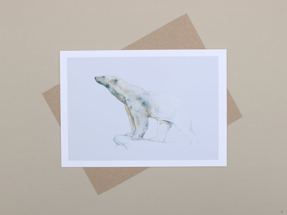 Stephen Rew - Polar Bear Special Limited Edition Print