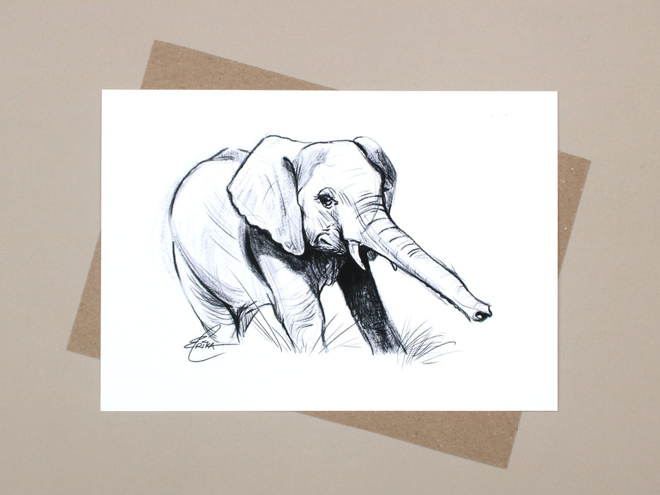 Erika Chan - Elephant Calf Special limited edition print