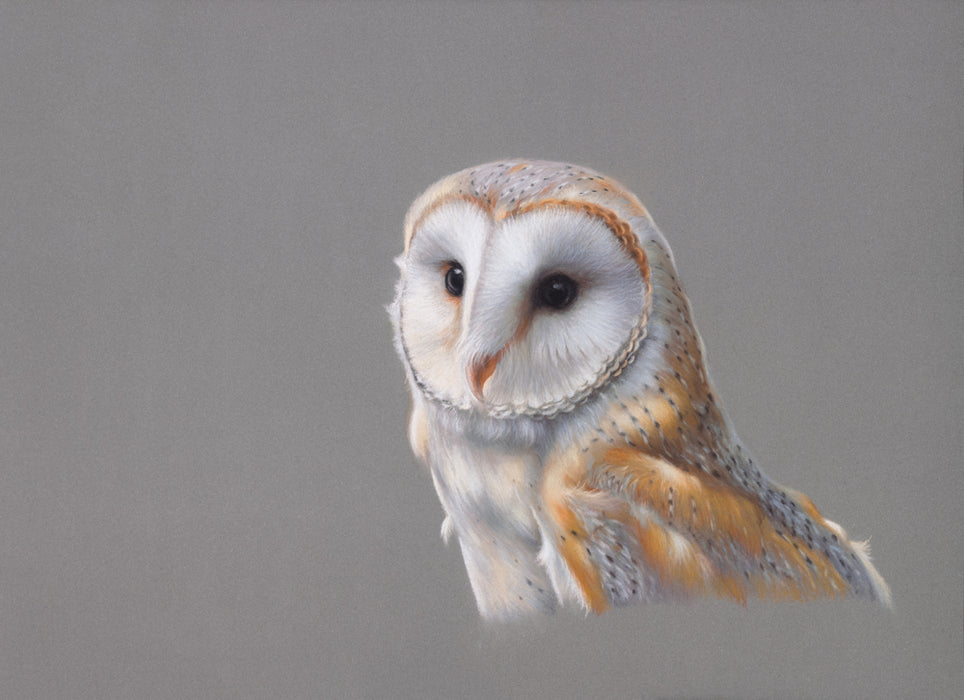 Jo Maynard - Special LE Print Barn Owl