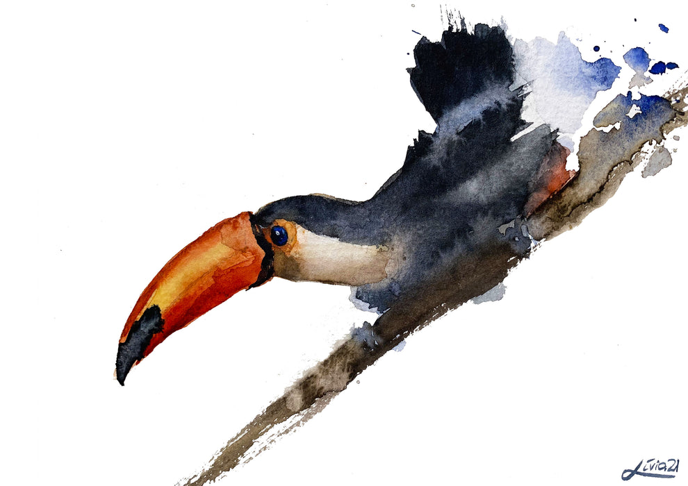 Livia Gomez - Toucan Special limited edition print