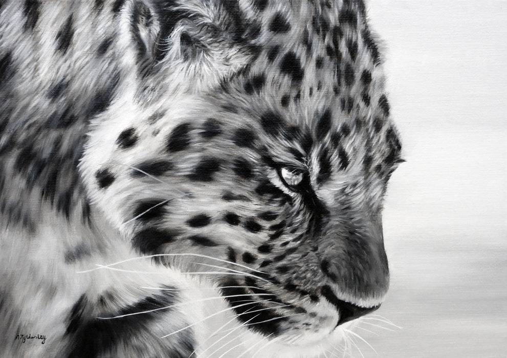Amber Tyldesley - On the Prowl Special Limited Edition Print