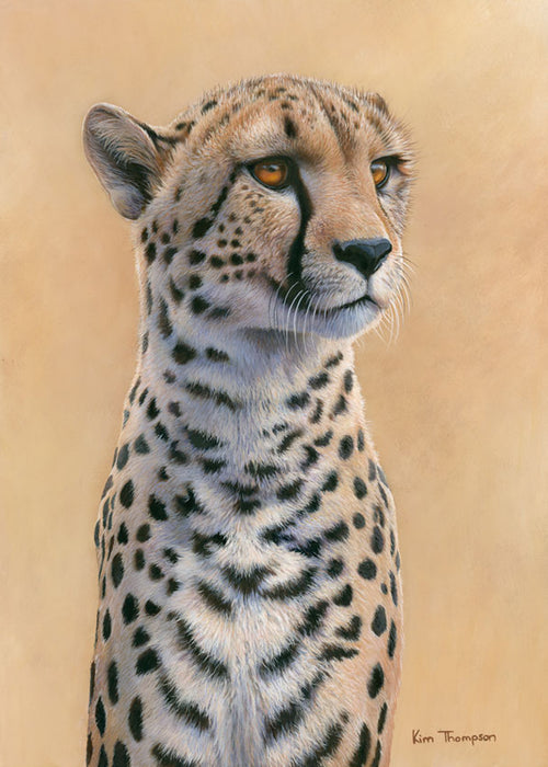 Kim Thompson - Cheetah Special Limited Edition Print