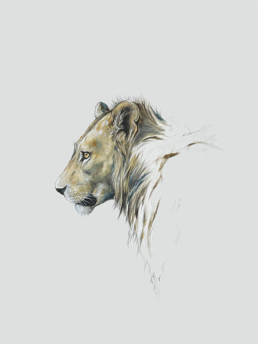 Stephen Rew - Lioness Special Limited Edition Print