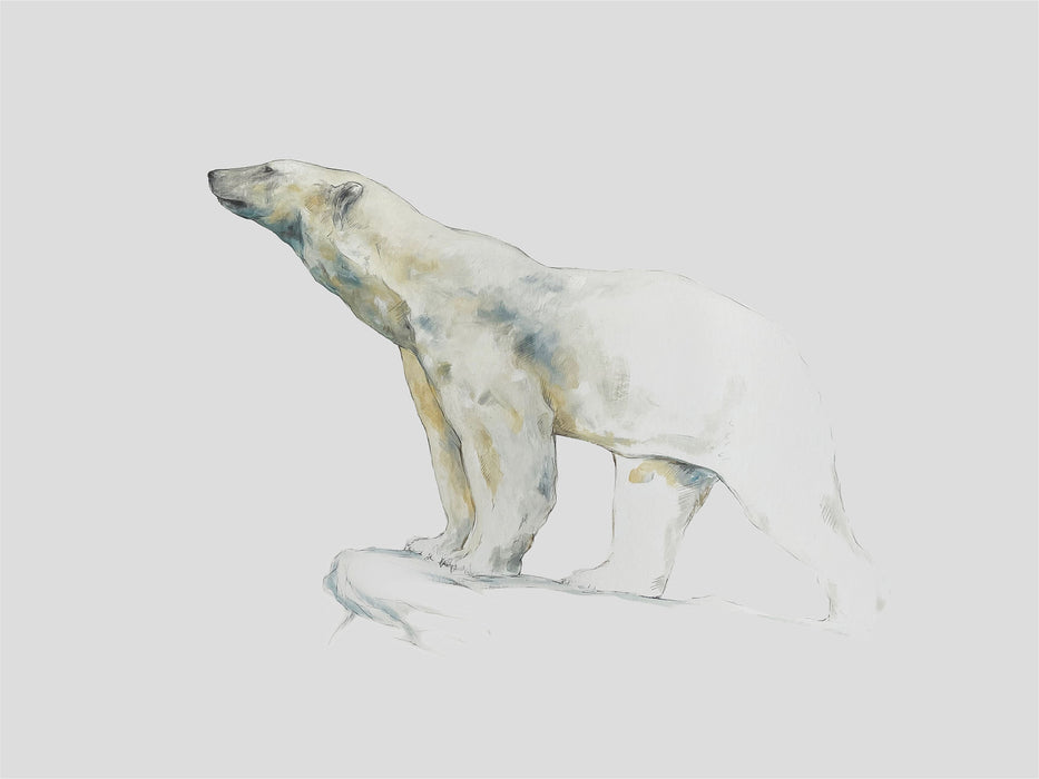 Stephen Rew - Polar Bear Special Limited Edition Print