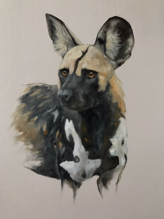 Stephen Rew - 'Albie'- Special Limited Edition Print