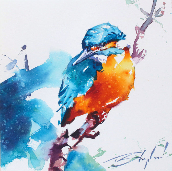 Tom Shepherd - Special LE Print Kingfisher