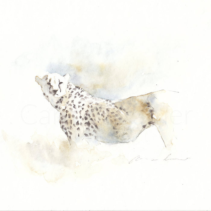 Carina Kramer - Cheetah Special limited edition print