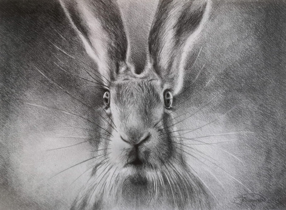 Jo Maynard - Special LE Print Hare